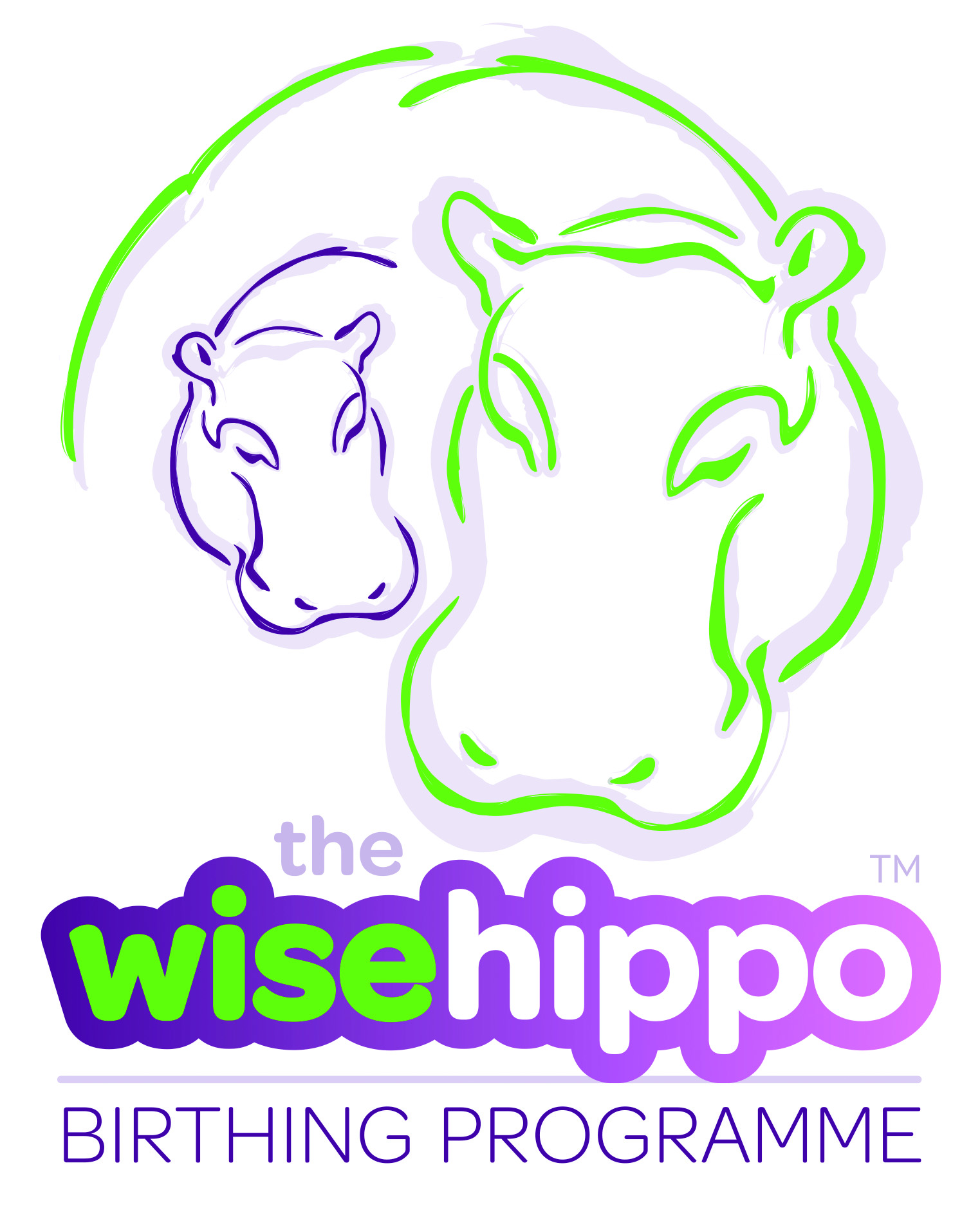 Wise Hippo Logo Block CMYK
